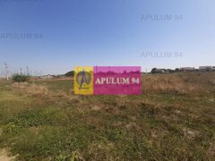 Teren pentru investitie langa Bucuresti